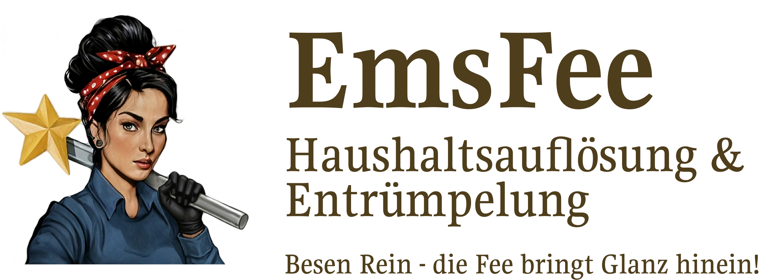 EmsFee Logo